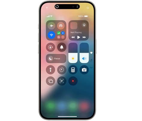 Linkin Wills Jelly 773 Premium Access: 2026 Gallery