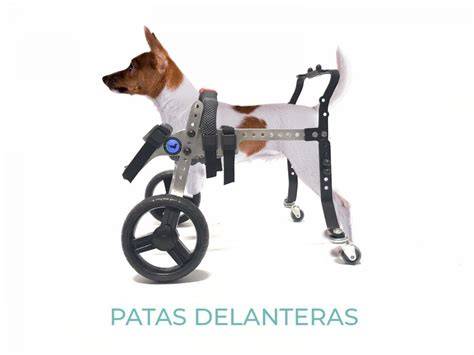 Carrito O Silla De Ruedas Para Perros Con Discapacidad 4.300,00 en