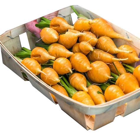 Carrot Ball Description