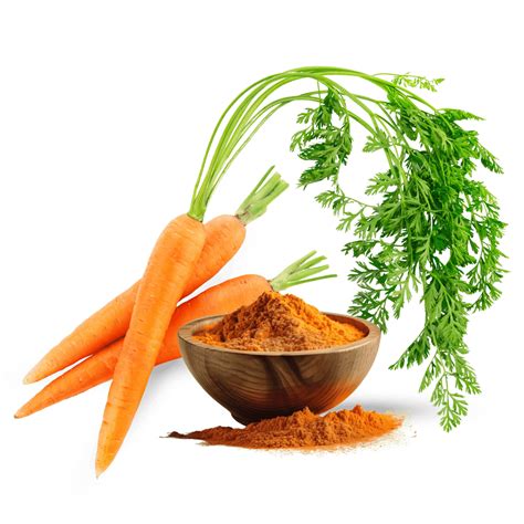Carrot Leaves Extract