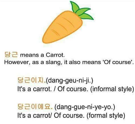 carrot meaning slang