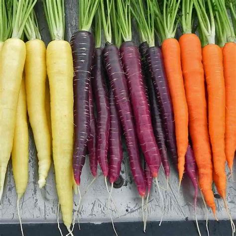 Purple Carrot Magic For Health