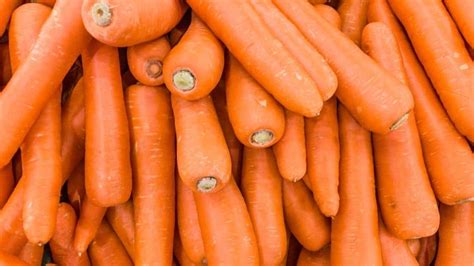 Carrots Digestion Problems