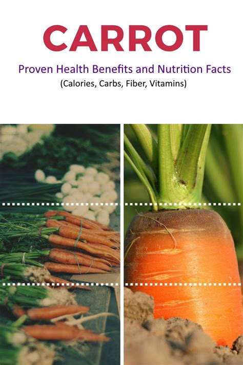 Carrots High Carbs