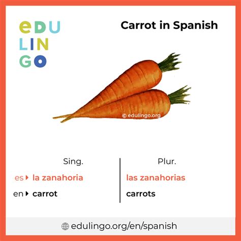 Carrots In Spanish Language