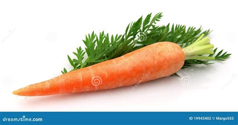 Carrots With Leaf