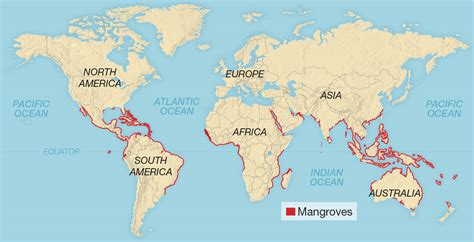 carte du monde mangrove
