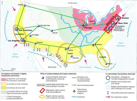 Bac S Croquis et SIGLES HISTOgraphie