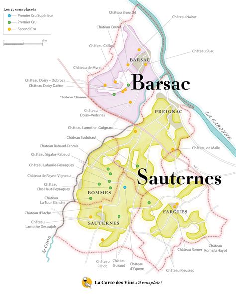 Vins de Sauternes Tout ce qu'il faut savoir sur l'un des meilleurs