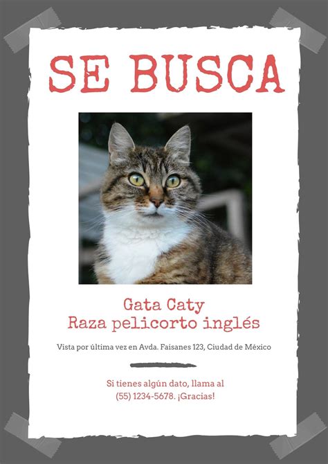 carteles de se busca mascota