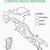 cartina fisica dell'italia da stampare e colorare