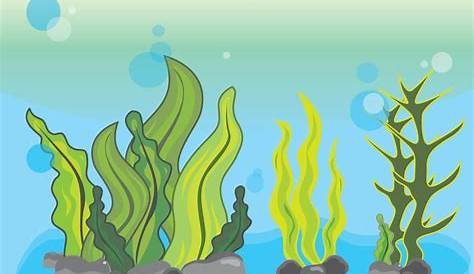 Cartoon Images Of Underwater Plants Three Kinds In Style Stock