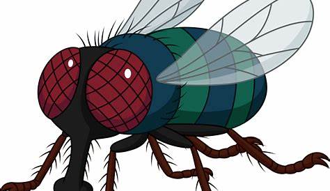 Download High Quality fly clipart cartoon Transparent PNG Images - Art