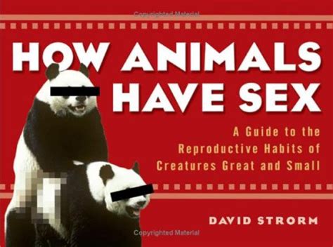 cartoon animal sex movies