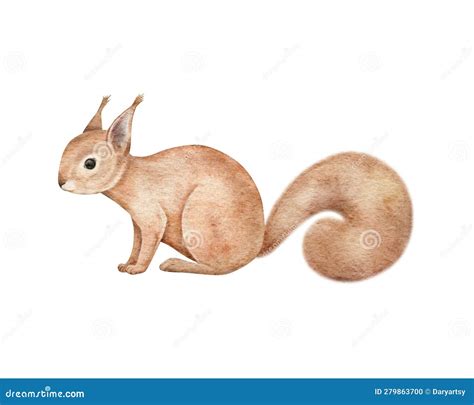 Cartoon Squirrel Realistic