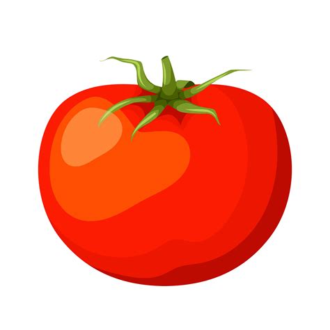 Cartoon Tomato
