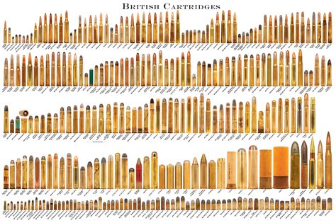 Cartridge Case Length