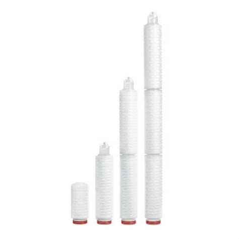 Cartridge Filter Sartorius