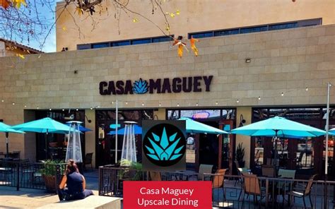 Discover the Enchanted Secrets of Casa Maguey: A Unique Experience Awaits