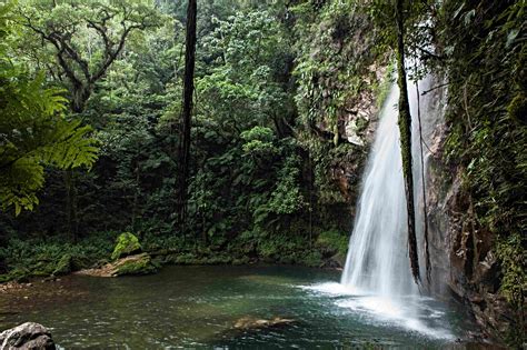 cascada el salto cuetzalan