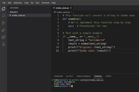 Case Conversion In Python Assignment Expert