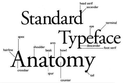 Case Definition Typography