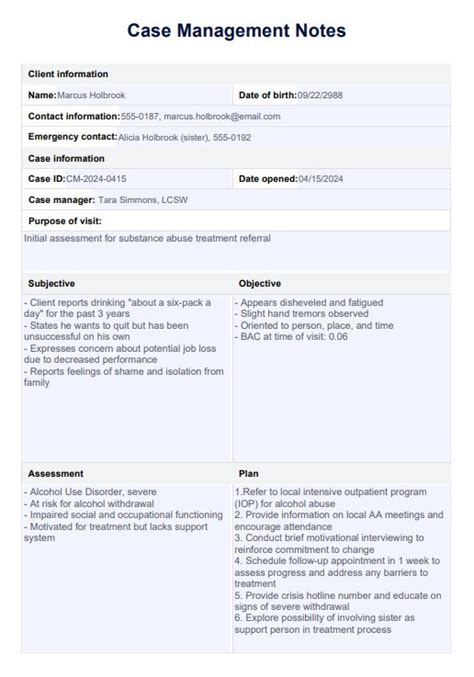 Case Management Documentation Template