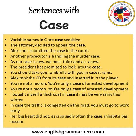 case meaning in english with example