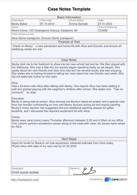 case notes template | CASE NOTE FORMAT - DAP CHARTING | For Me
