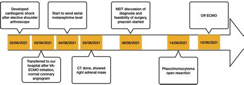 case processing timelines