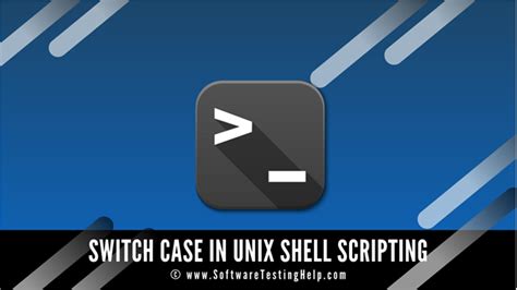 case statement in unix shell script