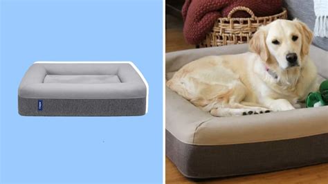 Casper Dog Bed Discount Code