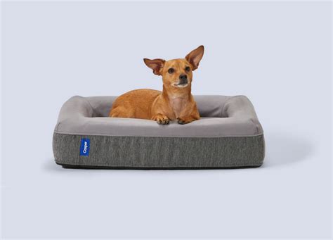 Casper Dog Bed Return