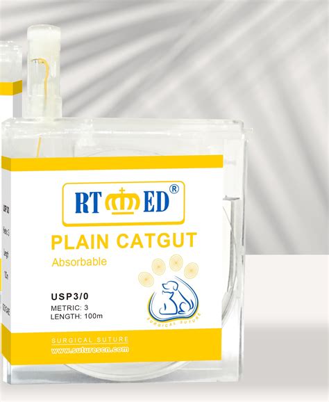 Cassette Veterinary Definition