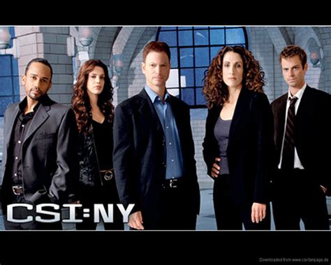 cast of csi ny