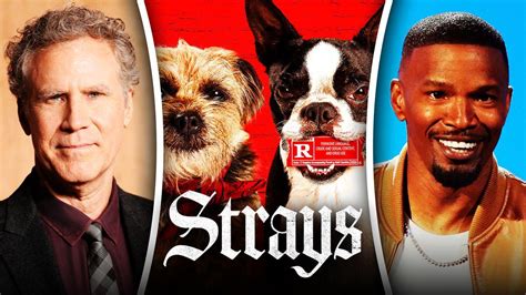 cast of strays