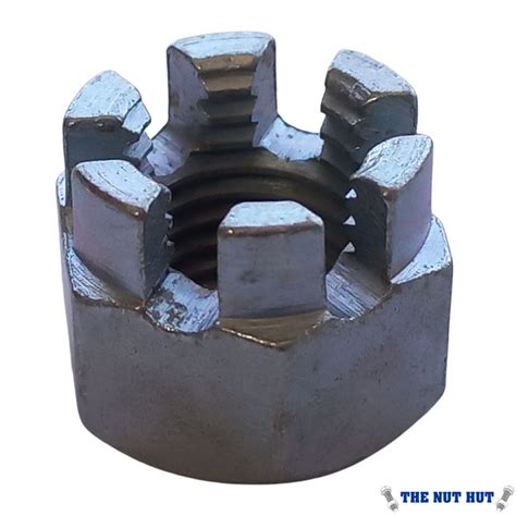 Castle Nut Other Name