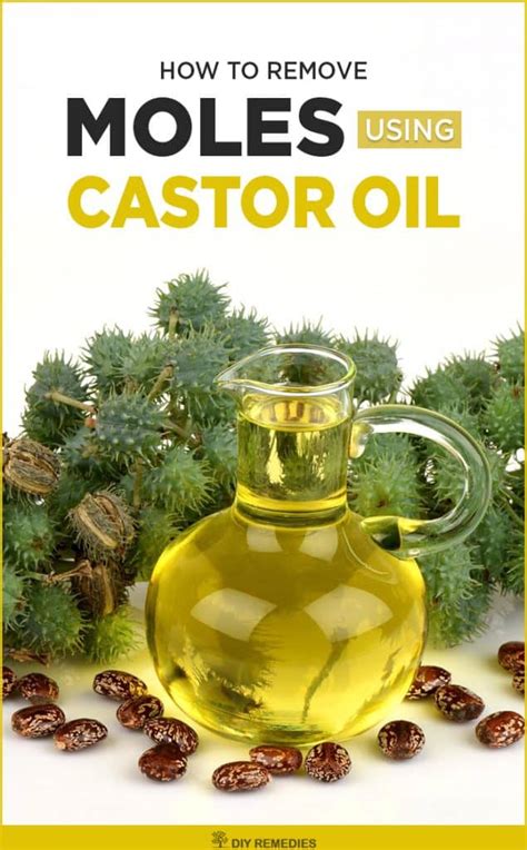 castor oil for ground mole removal