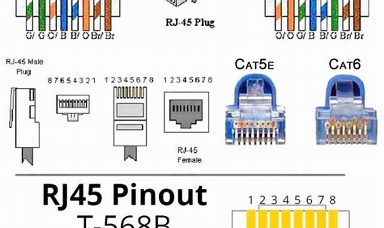 cat 6 cat6 socket wiring diagram