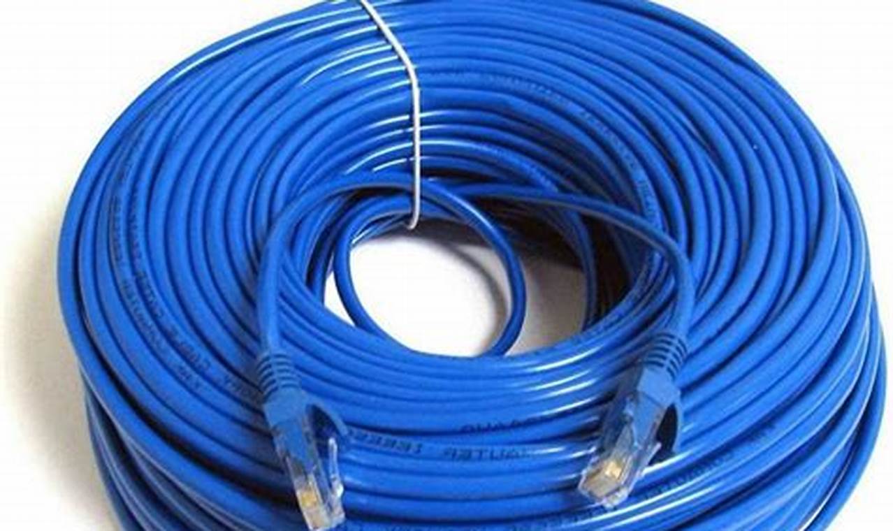 cat 6 ethernet cable 100ft