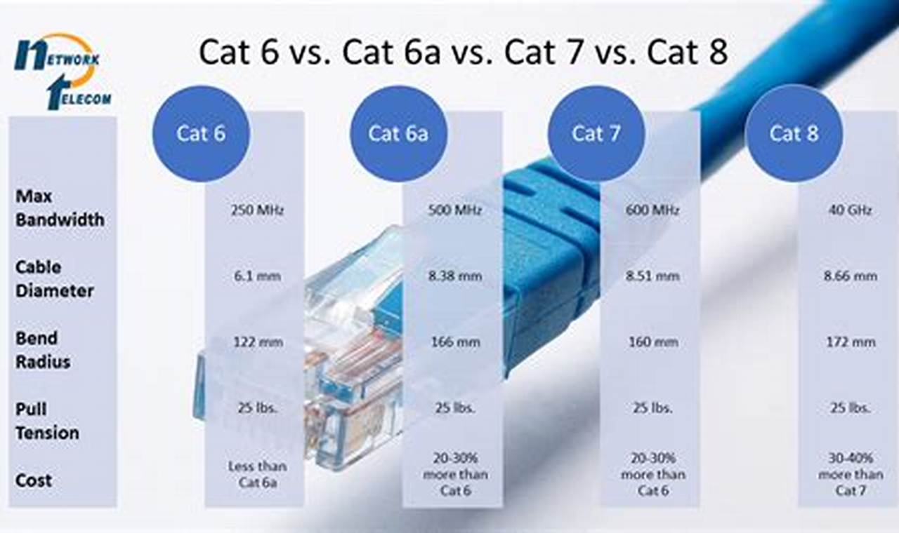 cat 6 vs cat 8 ethernet cable