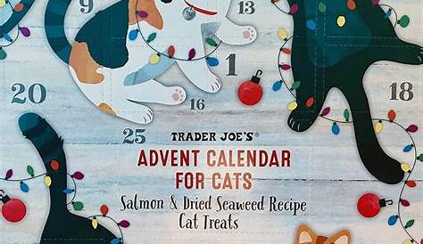 Sending a cat an Advent calendar in the mail might not be a great idea