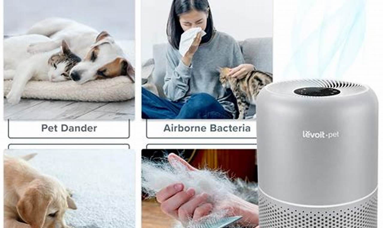 cat allergen air purifier