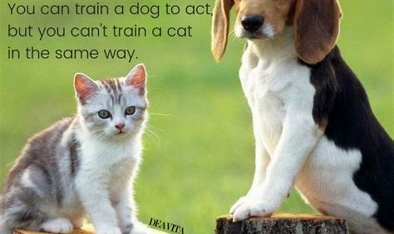 cat and dog quotes