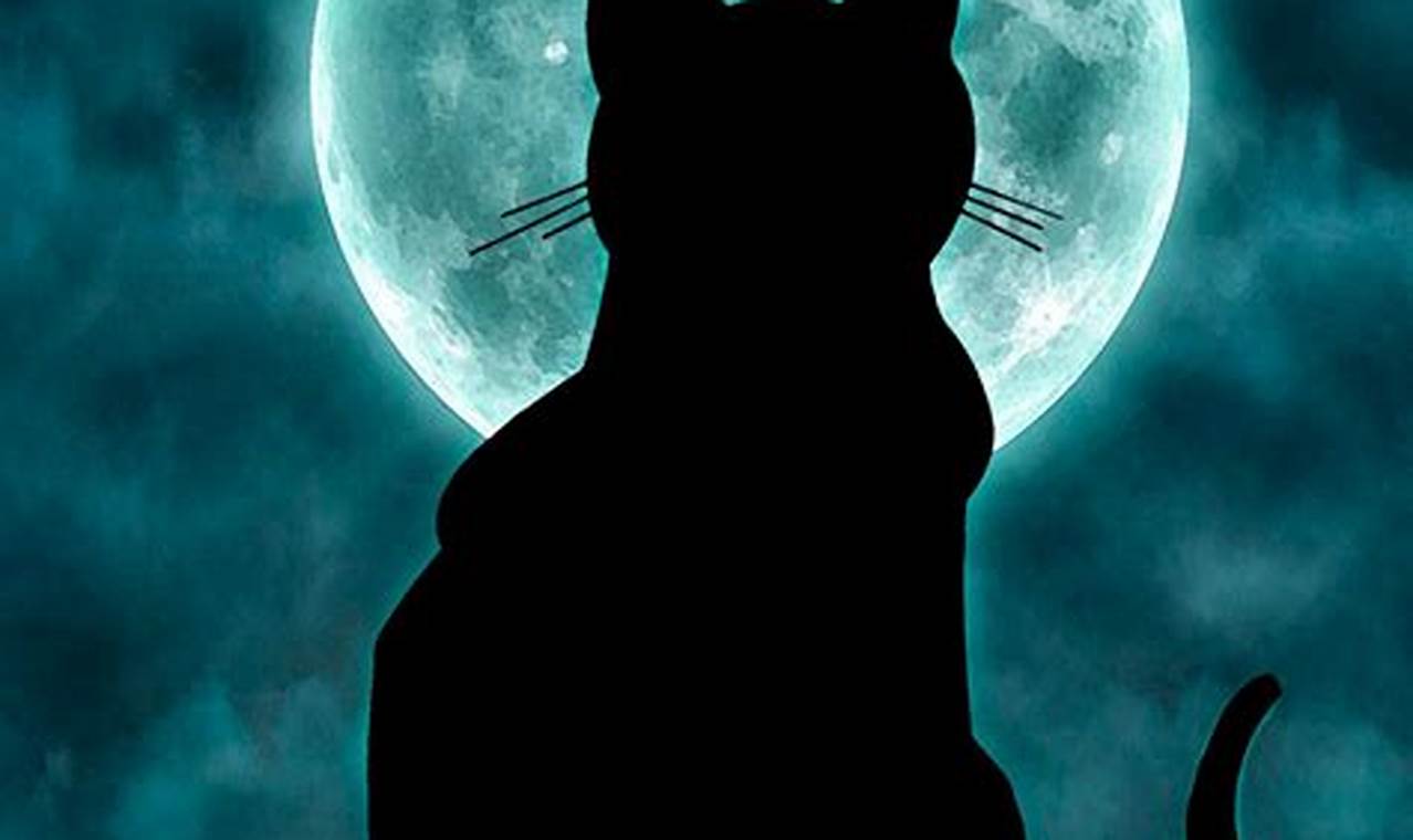 cat and the moon