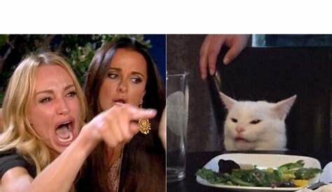 "Woman Yelling At Cat Meme" Is Still Going Strong (31 Memes)