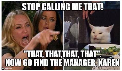 Angry Lady Cat Meme Template - Kopi Mambudem