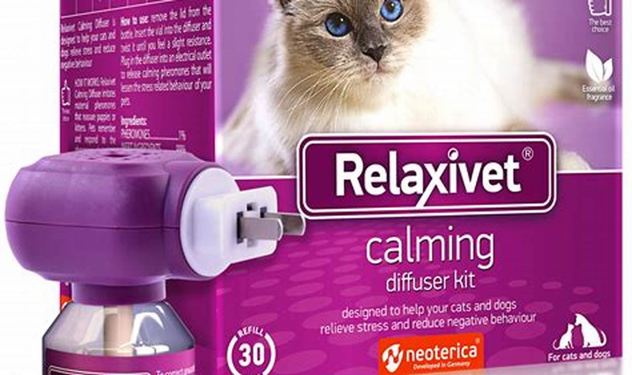 cat anti anxiety medication