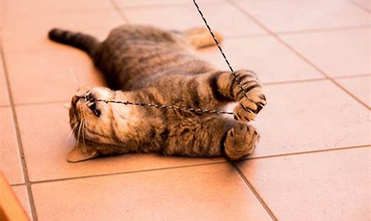 cat ate string but is acting normal