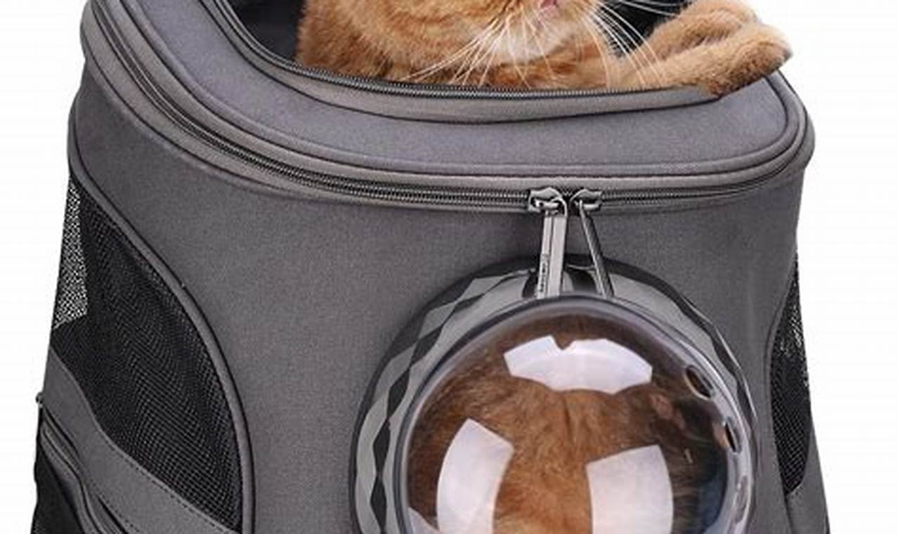 cat backpack for large cats